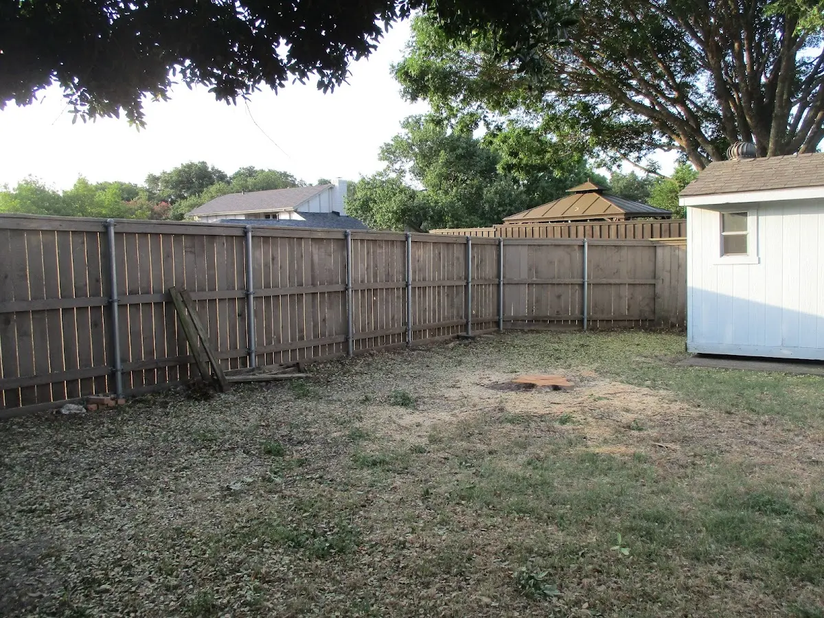 Cleared yard after professional tree removal in Maysville